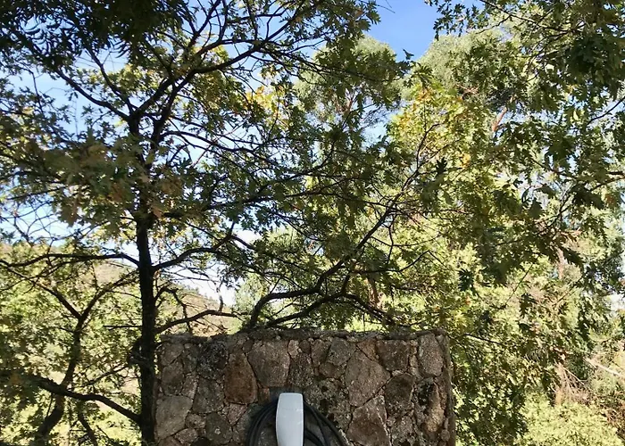 乡村民宿 Thevagar *